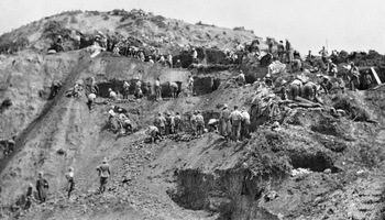 The Anzacs