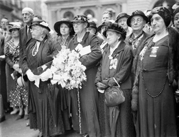 Widows' pension
