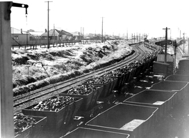 General coal strike